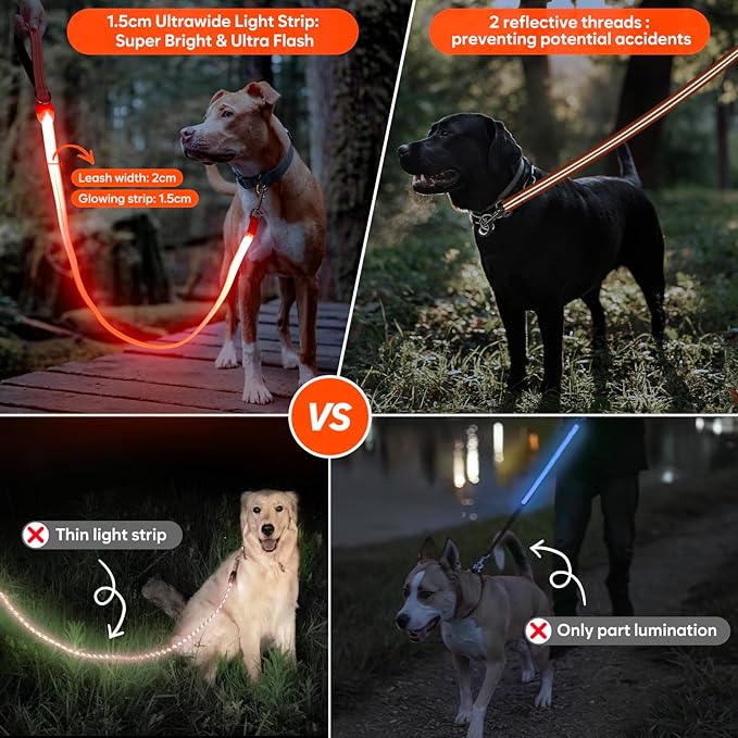 LED Dog Leash, Light Up Dog Leash 4 Ft USB Rechargeable Waterproof, Nylon Reflective Leashes with