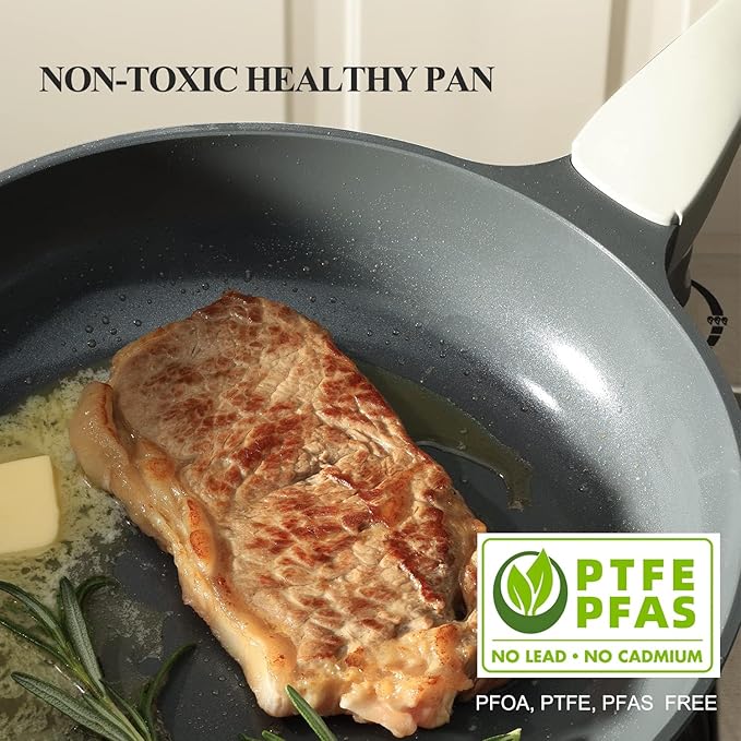 PRICUSIS Nonstick Ceramic Frying Pan with Lid, Non Toxic Skillet, Healthy Egg & Omelet & Chef's