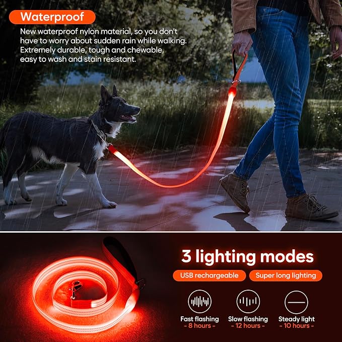 LED Dog Leash, Light Up Dog Leash 4 Ft USB Rechargeable Waterproof, Nylon Reflective Leashes with