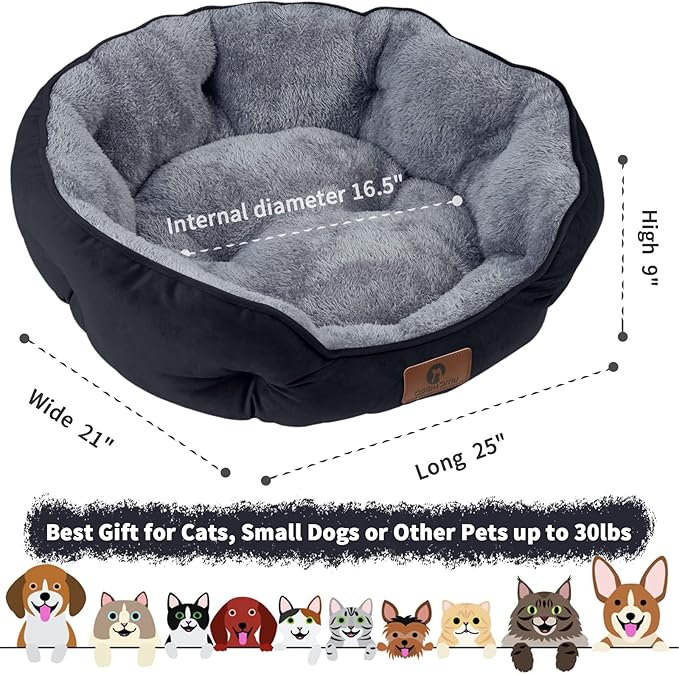 Asvin Medium Dog Bed for Medium Dogs, Large Cat Beds for Indoor Cats, Pet Bed for Puppy and Kitty
