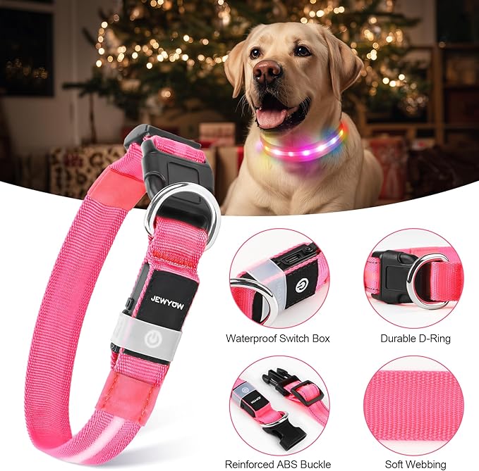 LED Dog Collar, Light Up Dog Collar, USB Rechargeable - Brightest Dog Lights for Night Walking, 6