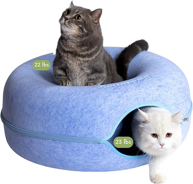 CATTASAURUS Peekaboo Cat Cave for Multiple & Large Cats Up to 30-45 Lbs, Scratch Detachable &