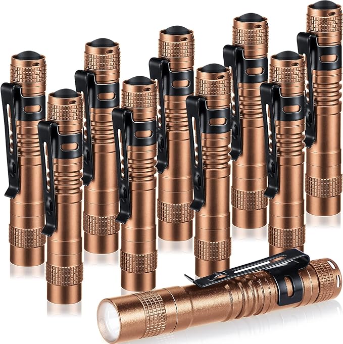 Hortsun 10 Pcs Mini Flashlight Bulk LED Pen with Pocket Small Flashlight with Clip for Outdoor