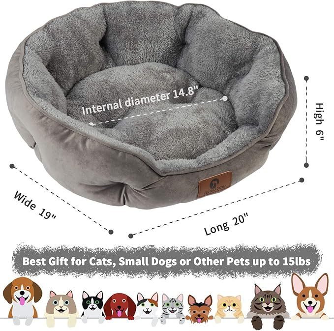 Asvin Small Dog Bed for Small Dogs, Cat Beds for Indoor Cats, Pet Bed for Puppy and Kitty, Extra