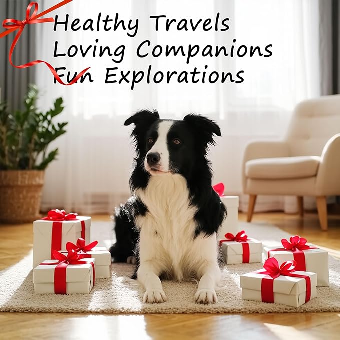Portable Foldable Elevated Dog Bowls Stand with Dual Dishes, Compact Travel Pet Feeding Table for