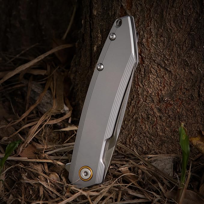 Ruike P831 Folding Tactical Knife with Clip Survival Pocket Knife Tactical EDC Tool Liner Lock