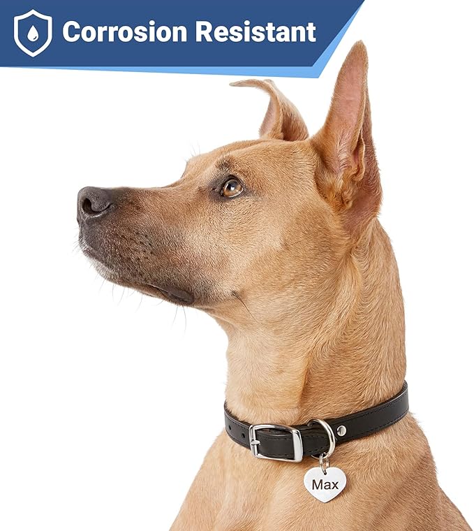 GoTags Stainless Steel Pet ID Tags, Personalized Dog Tags and Cat Tags, up to 8 Lines of Custom
