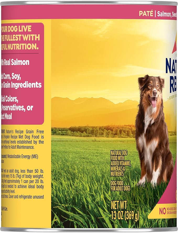 Nature's Recipe Grain Free Wet Dog Food Salmon, Sweet Potato, and Pumpkin Recipe, 13 oz. Can (Pack