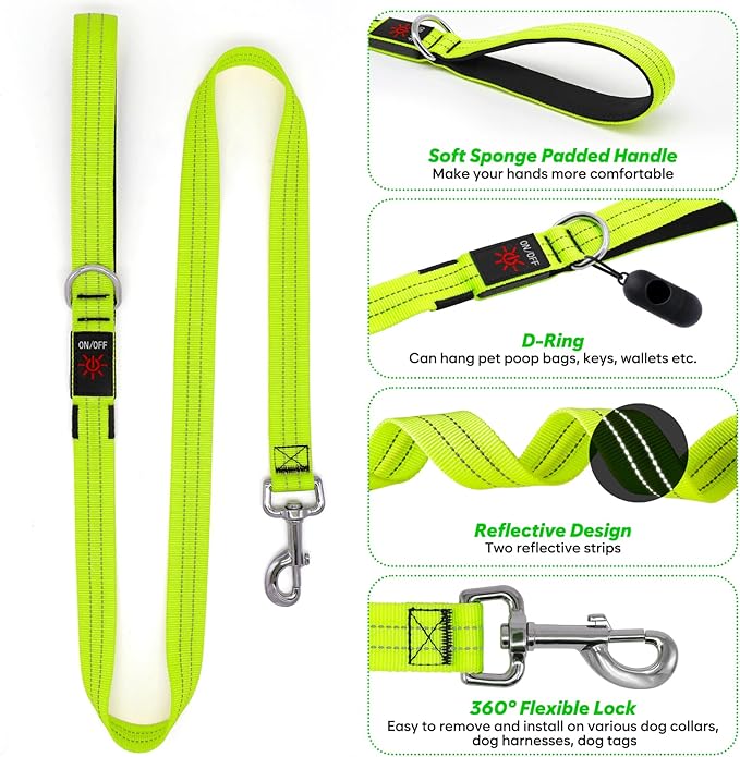 4 Ft LED Dog Leash, Rechargeable Light Up, Safety Glow in The Dark, Nylon Reflective with Padded
