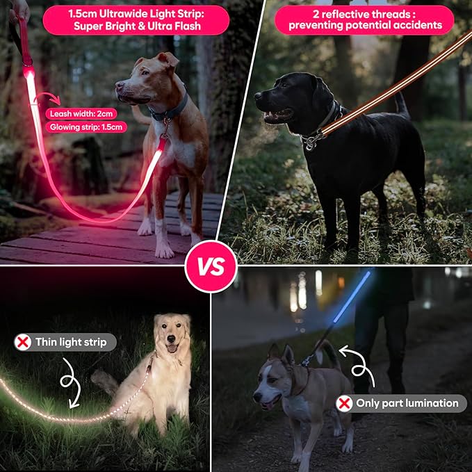 LED Dog Leash, Light Up Dog Leash 4 Ft USB Rechargeable Waterproof, Nylon Reflective Leashes with