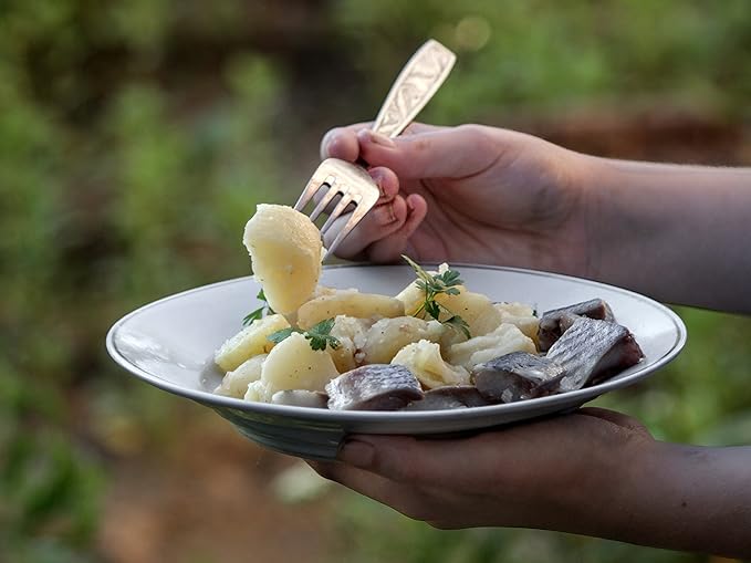 Unique Complete Messware Kit Polished Stainless Steel Dishes Set| Tableware| Dinnerware| Camping|
