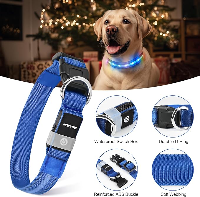 LED Dog Collar, Light Up Dog Collar, USB Rechargeable - Brightest Dog Lights for Night Walking, 6