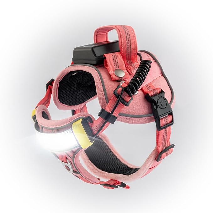 Lumi One LED Dog Harness for Night Visibility & Safety, Patent Pending, Rechargeable Adjustable Dog