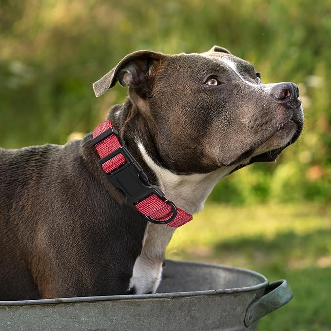 Mile High Life Dog Collar | Nylon Reflective Dog Collars | Light Weight Puppy Collars | Red Dog
