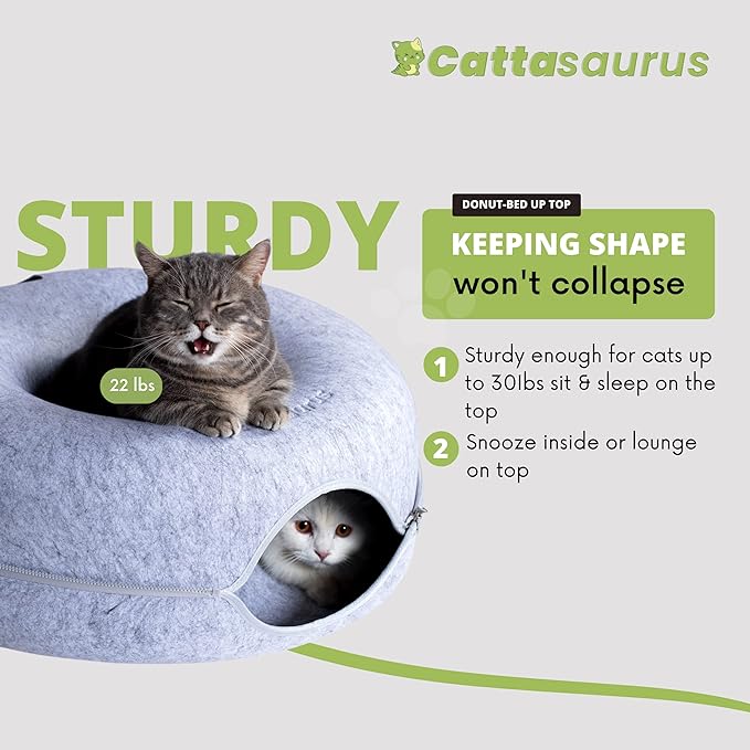 CATTASAURUS Peekaboo Cat Cave for Multiple & Large Cats Up to 30-45 Lbs, Scratch Detachable &