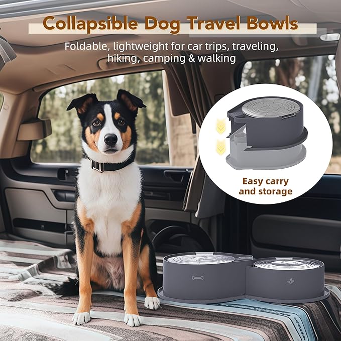 Stainless Steel Dog Bowl Set with Lids, 304 Metal Dual Food & Water Bowls for Dogs & Cats, Foldable