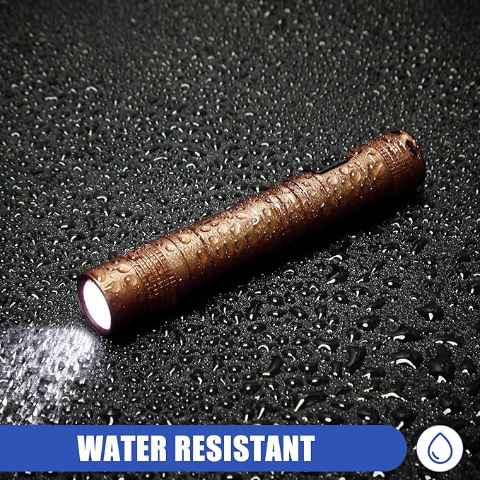 Hortsun 10 Pcs Mini Flashlight Bulk LED Pen with Pocket Small Flashlight with Clip for Outdoor