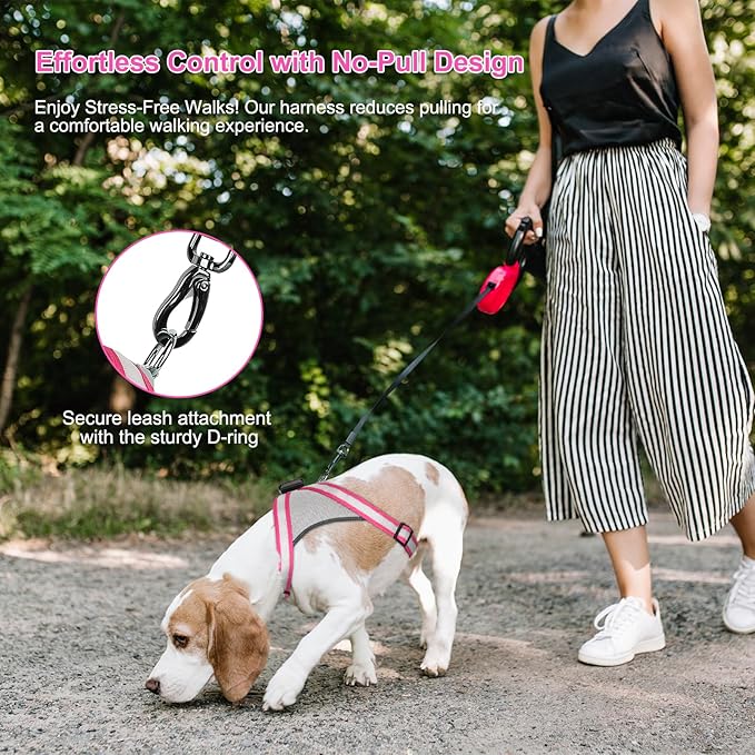 Visinite LED Dog Harness, USB Rechargeable Light Up Dog Vest, 2 Illuminate Modes Glow in The Dark