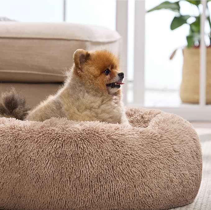 Bedsure Calming Dog Bed for Small Dogs - Donut Washable Small Puppy Bed, 23 inches Anti-Slip Round