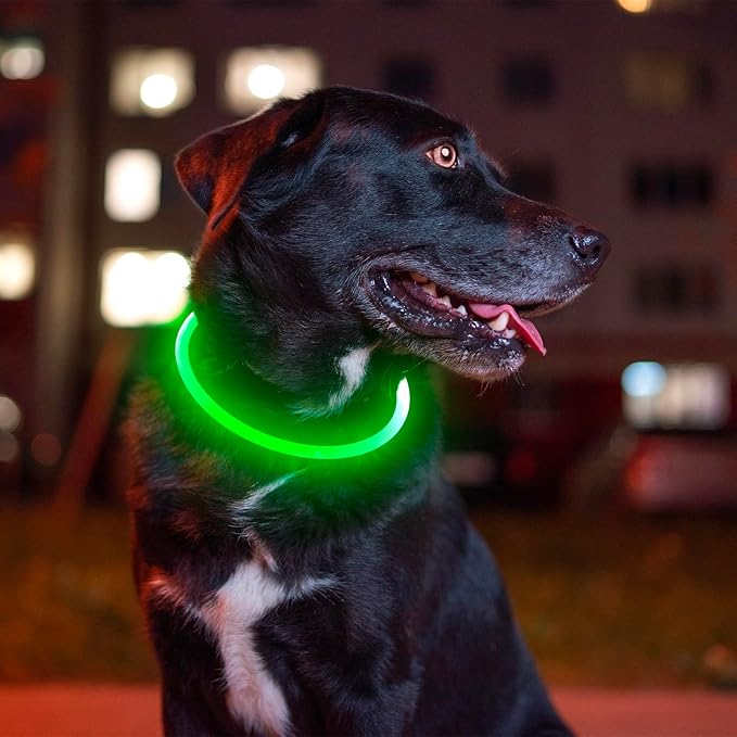 Led Dog Collar, BSEEN USB Rechargeable Flash Dog Necklace Light, Pet Safety Collar Makes Your