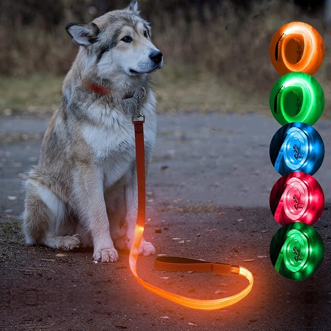 Candofly LED Dog Leash Rechargeable, 4 Ft Glow in The Dark Light Up Dog Leash, Nylon Reflective Dog