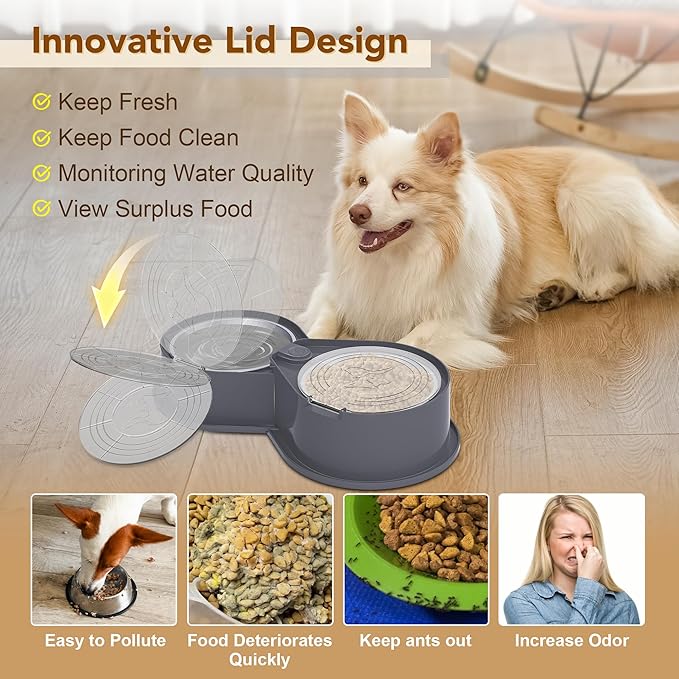 Stainless Steel Dog Bowl Set with Lids, 304 Metal Dual Food & Water Bowls for Dogs & Cats, Foldable