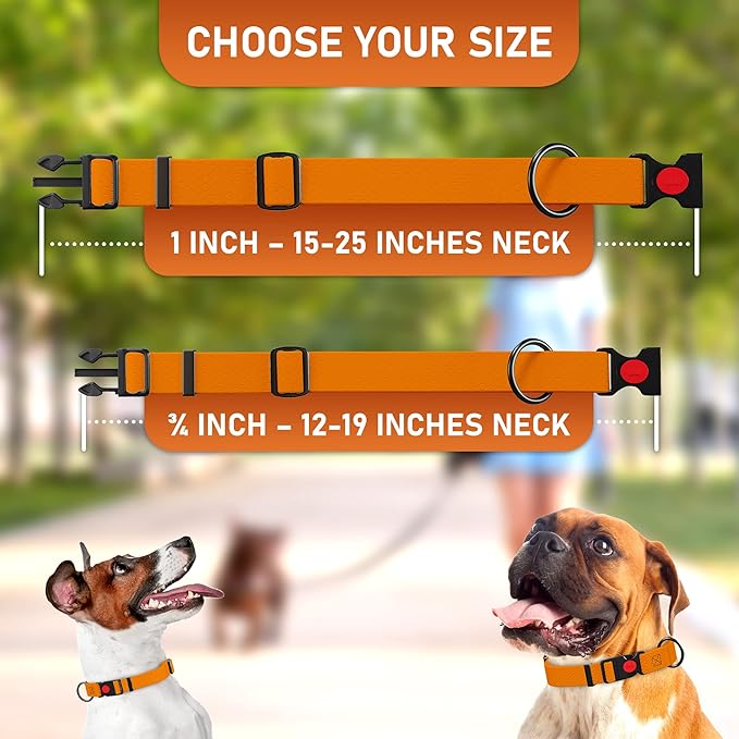 Adjustable Dog Collar with Safety Lock Buckle - Made in USA - Honeycomb Waterproof Heavy Duty Dog