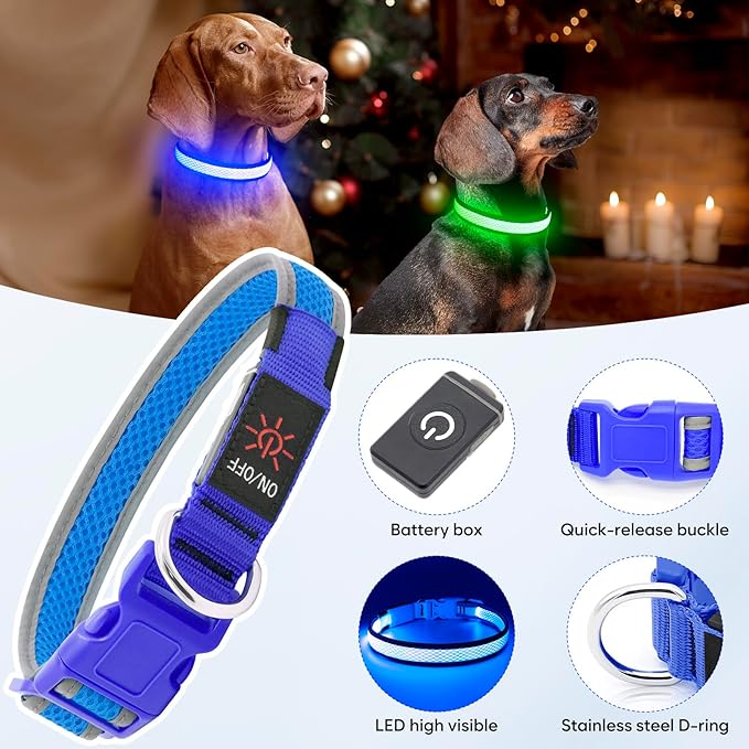 Flashseen LED Dog Collar, Light Up Dog Collar USB Rechargeable, Brightest Dog Lights for Night