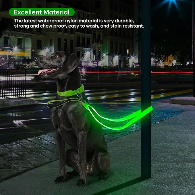 LED Dog Leash, Light Up Dog Leash 4 Ft Fully Illuminated USB Rechargeable Waterproof, Nylon