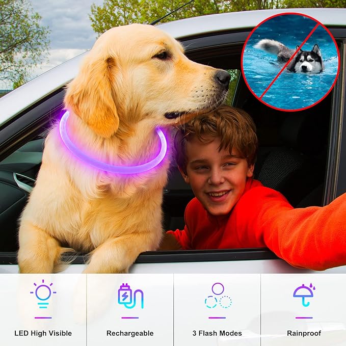 Light Up Dog Collars, USB Rechargeable Dlitk LED Dog Collar 1 Count, TPU Cuttable Size Glow Collar