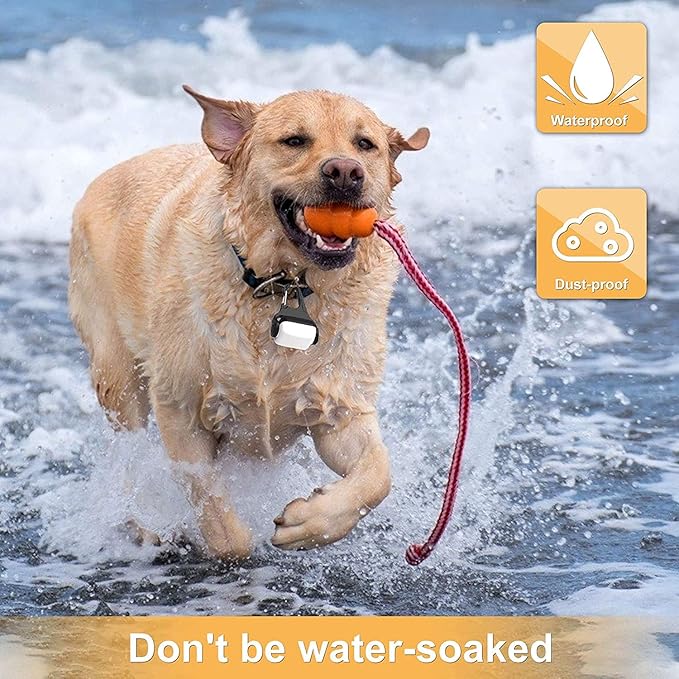 USB Rechargeable Clip-on Dog Collar Light - 3 Modes, IP65 Waterproof, Night Walking, Running