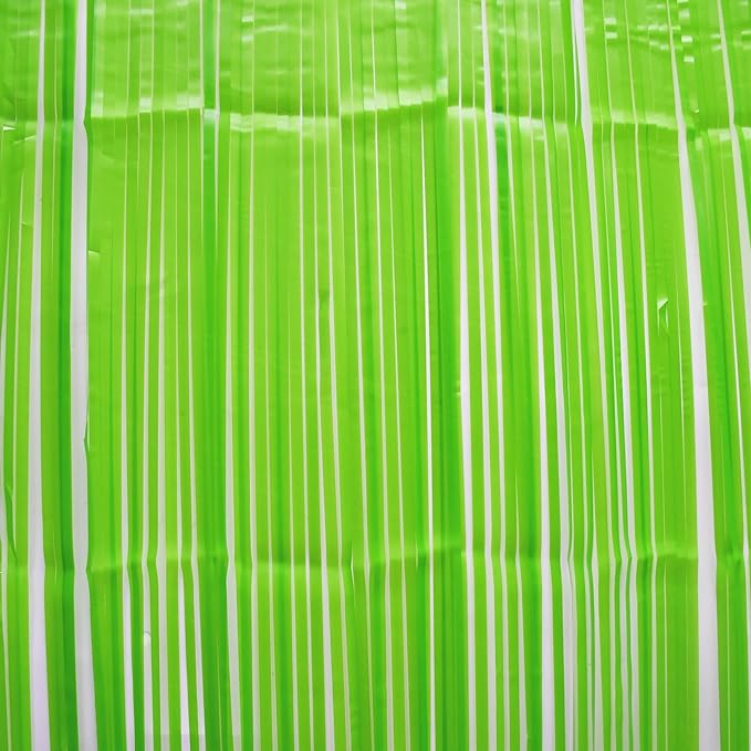 BRAVESHINE Pastel Green Streamers Party Backdrop Decoration - Tinsel Curtain Foil Fringe Backdrop