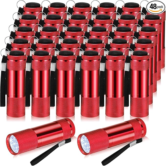 VIHOSE 48 Pcs Mini Flashlights Bulk, Bright Aluminum Handheld Flash Light with Lanyard, Small LED