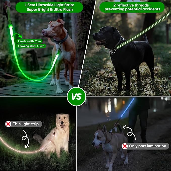 LED Dog Leash, Light Up Dog Leash 4 Ft Fully Illuminated USB Rechargeable Waterproof, Nylon