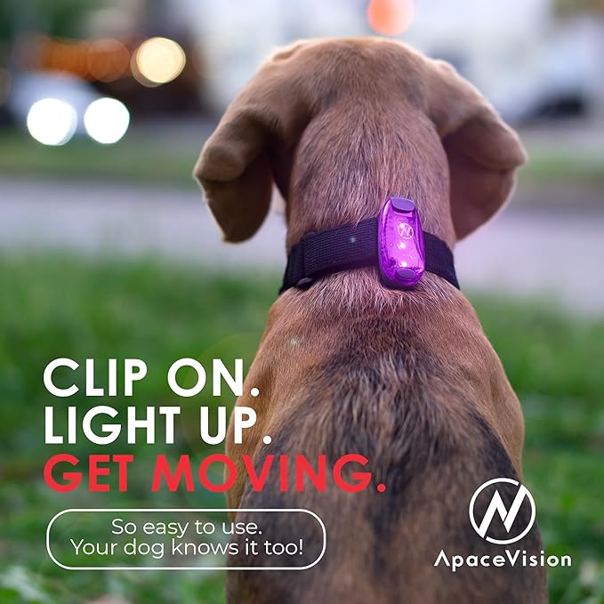 LED Safety Light (2 Pack) - Clip On Strobe/Running Lights for Runners, Dog, Bike, Walking, Boat