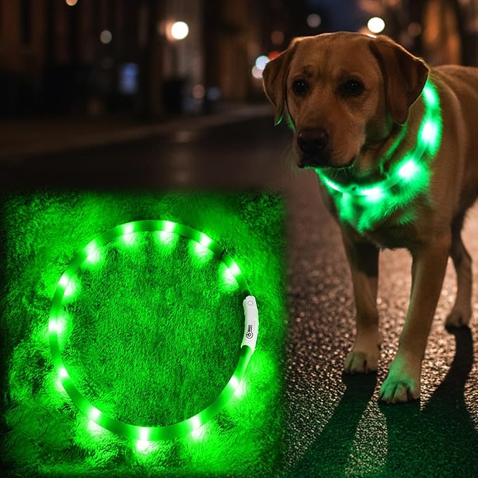 Light Up Dog Collar, Rechargeable Glowing Dog Collar, Light Dog Collar for Night Walking with 1640