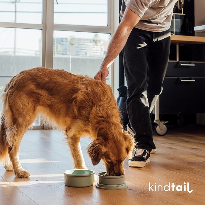 KindTail Dog Travel Bowls - Set of 2 Portable Pet Food & Water Dishes with Lid & Handle - Each