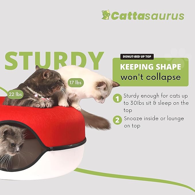CATTASAURUS Peekaboo Cat Cave for Multiple & Large Cats Up to 30-45 Lbs, Scratch Detachable &