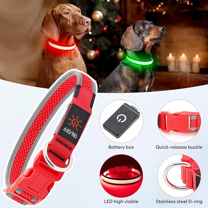 LED Dog Collar, Light Up Dog Collar USB Rechargeable, Brightest Dog Lights for Night Walking