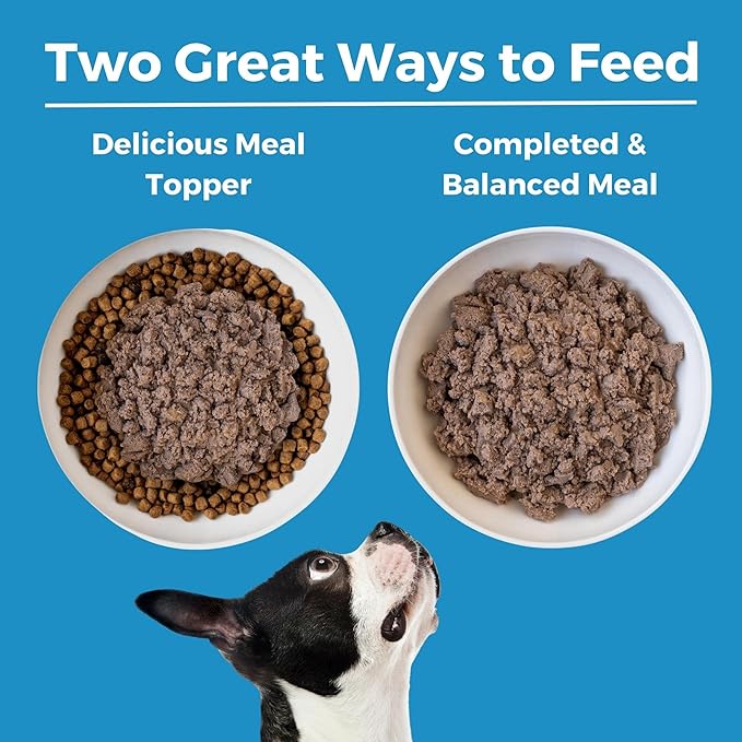 KOHA Limited Ingredient Diet Lamb Entrée for Dogs - Grain Free Wet Dog Food with No Fillers