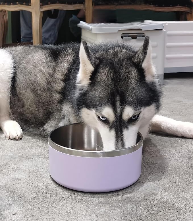 Dog Bowl, Stainless Steel Dog Food and Water Bowl with Non Slip Quiet Bottom, Easy to Clean