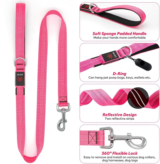 4 Ft Led Dog Leash, Rechargeable Light Up Dog Leash Waterproof, Safety Glow in The Dark Dog Leash