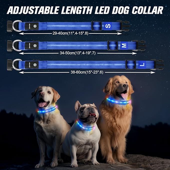 LED Dog Collar, Light Up Dog Collar, USB Rechargeable - Brightest Dog Lights for Night Walking, 6