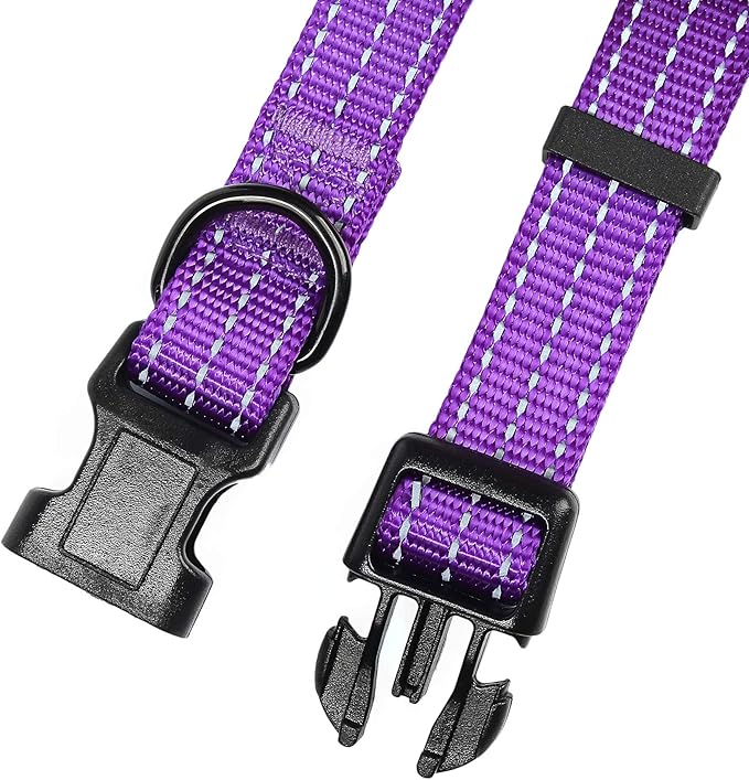 Mile High Life Dog Collar | Nylon Reflective Dog Collars | Light Weight Puppy Collars | Purple Dog