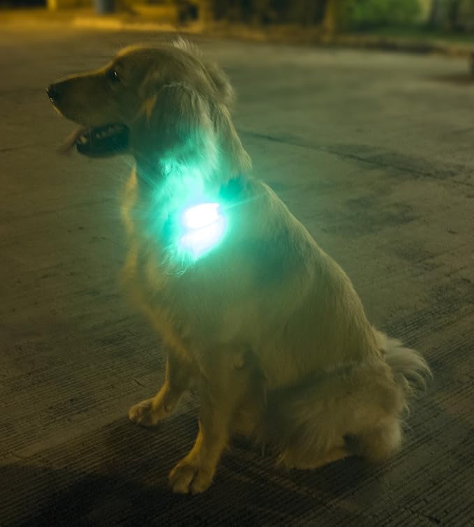 LED Safety Light (2 Pack) - Clip On Strobe/Running Lights for Runners, Dog, Bike, Walking, Boat