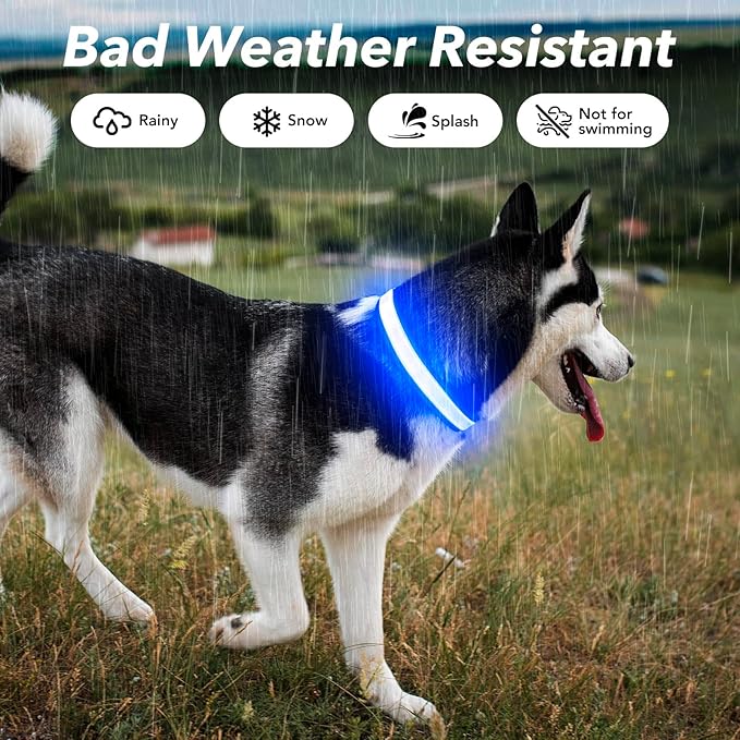 Visinite Light Up Dog Collars for Small Medium Large Dogs, Fully Adjustable LED Dog Collar USB
