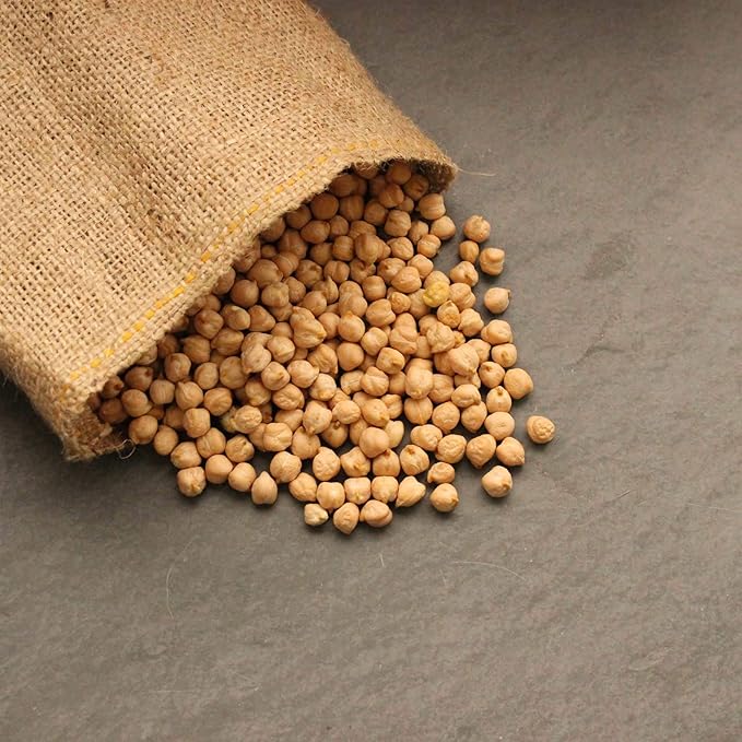 Dried Garbanzo Beans- Organic Sprouting Seeds - 1 Lbs - Handy Pantry Brand - Dry Garbonzo Bean /