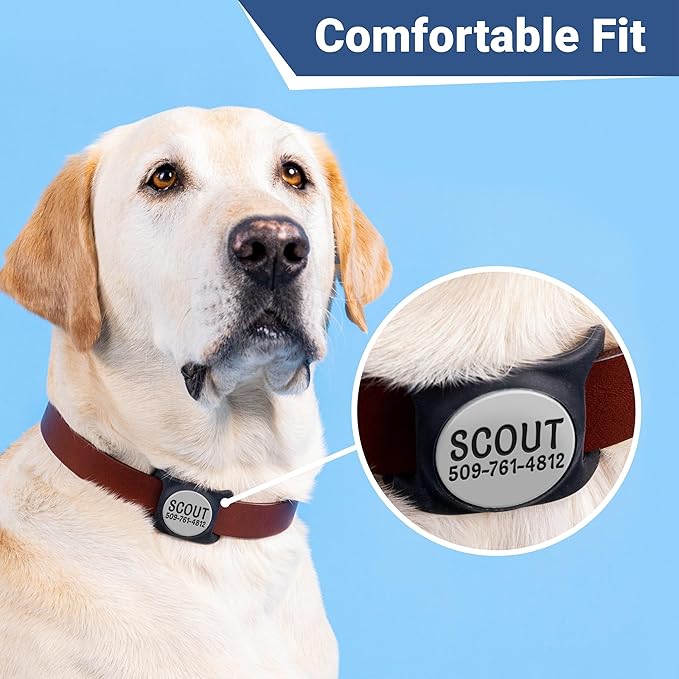 GoTags Personalized AirTag Dog Collar Holder, Engraved Tracker Case for Pet Collar, Custom Text