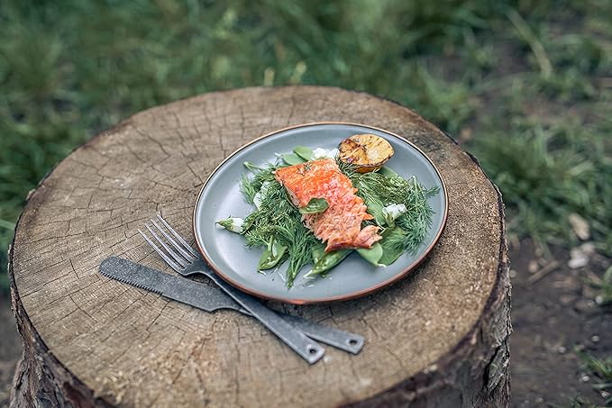 Barebones 8 Inch Salad Plate - Set of 2 Salad Plates - Enamelware Plates - Durable Kitchen or
