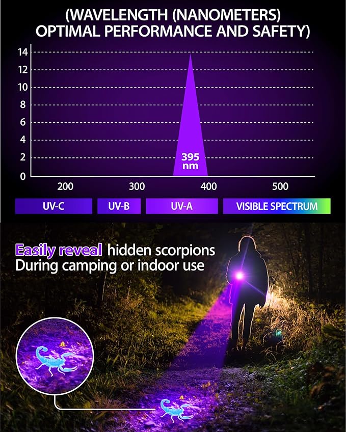 Black Light Flashlight 395NM, UV Light USB C Rechargeable with LCD Display, Zoomable Woods Lamp